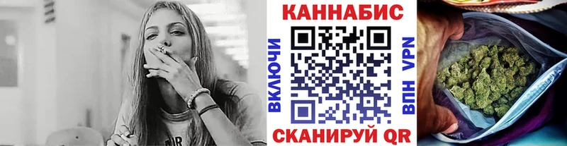 Конопля гибрид  Щёкино 